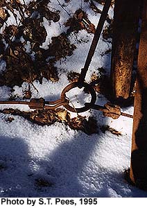 oring.jpg (28640 bytes)