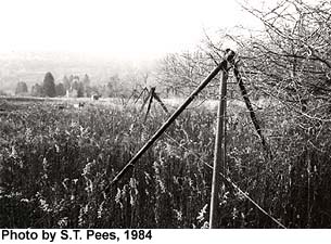 rowoftripods.jpg (27230 bytes)